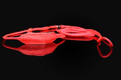 Laisse de présentation ronde Nylon, protection + connecteur 120 x 0.6 cm, rouge