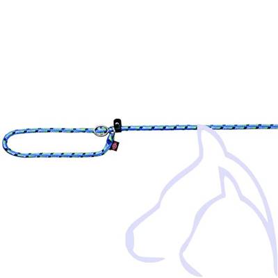Mountain Rope laisse pour Retriever L–XL: 170 x ø 1.3 cm, bleu/vert
