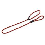 Laisse Lasso chiens Nylon et Cuir 150 x 1.3 cm, rouge