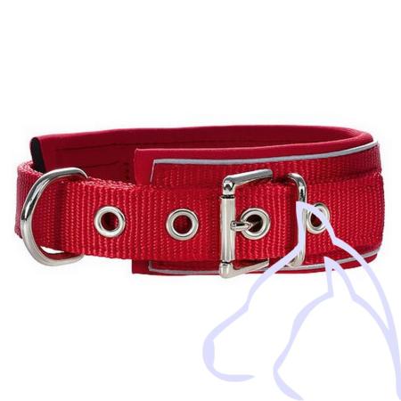 Collier Nylon chien doublé néoprène réfléchissant Néoreflect C 38-46cm, rouge