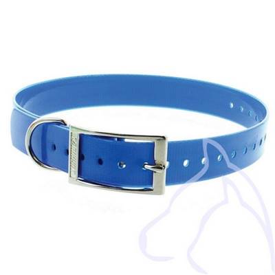Collier PVC chiens Sangle 2.5 x 34-60 cm, bleu