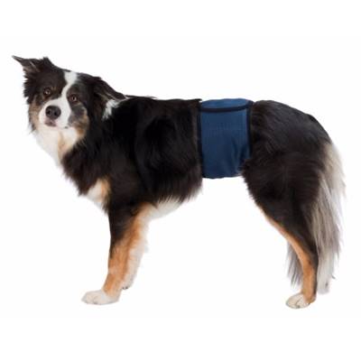 Couches pour chiens mâles, maille respirable S–M: 37–45 cm, bleu foncé