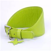 Collier Cuir chiens de petite race avec un  tour de cou 22-26 cm, vert