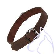 Collier Cuir Large LEATHER Liso 61-70 x 4.0 cm, marron