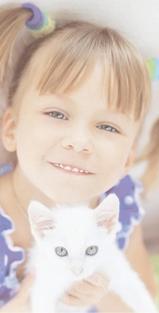accessoires et produits de beauté pour chats
