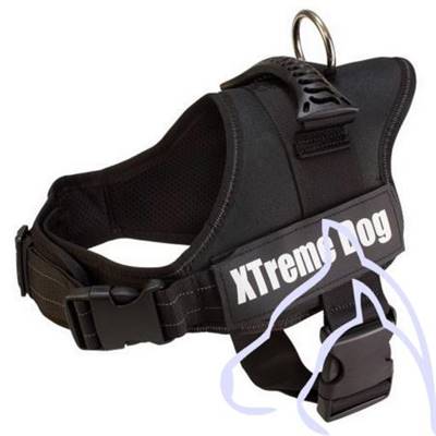 Harnais pour Chiens Xtreme Dog Taille S 45-58 cm, noir