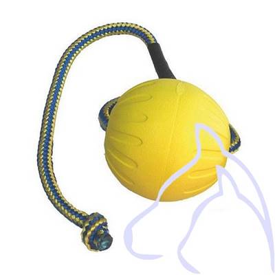 Jouets Chiens balle mousse résistante avec corde qui flotte, medium 6,5 cm