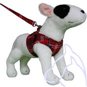Harnais chiens Comfy Scottish S 34-38 cm, écossais rouge