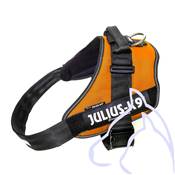 Harnais Power Julius-K9® IDC, 3/XL: 82–115 cm/50 mm, orange cuivré