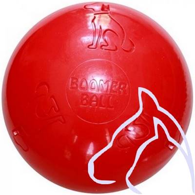 Jouets pour chiens Ballon en plastique dur diamètre 25cm