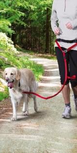Trixie-accessoires-Sport-loisir-canicross-chiens