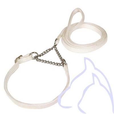 Licou Pour Veau / Petit Bétail - Nylon Réglable, Renforcé - Pour Présentation, Dressage, Manipulation
