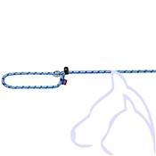 Mountain Rope laisse pour Retriever L–XL: 1,70 m/ø 13 mm, bleu/vert