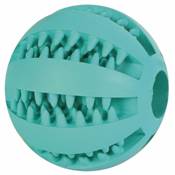 Denta Fun balle, menthe, en caoutchouc naturel ø 5 cm