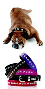 Hunter-collier-simili-cuir-strass-brillant-chien-chienne