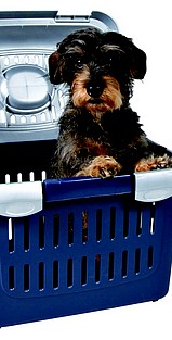 Trixie-caisse-cage-sac-box-transport-chien
