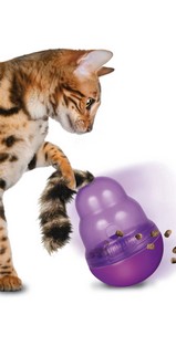 jouets balle souris perche peluche pour chats