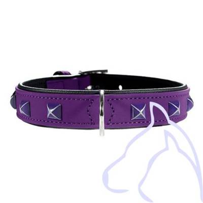 Collier chien doublé & bijoux riveté Softie kairo 36-44cm/ 28mm, violet