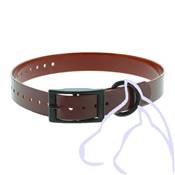 Collier PVC chiens Sangle 2.5 x 34-60 cm, marron