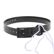 Collier PVC chiens Sangle 2.5 x 34-60 cm, noir