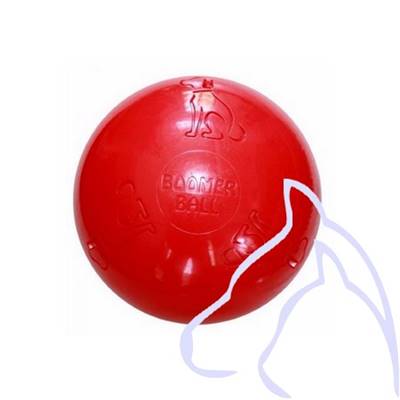 Jouets Chiens Ballon en plastique dur diamètre 11cm