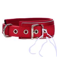 Collier Nylon chien doublé néoprène réfléchissant Néoreflect C 47-56cm, rouge