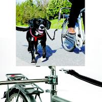 Biker-Set pour grands chiens